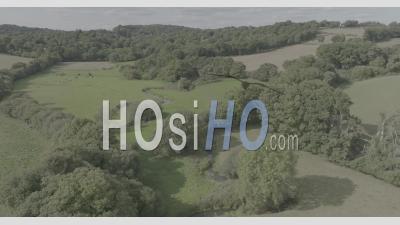 Brook Near Plouguernevel, Brittany, France - Video Drone Footage