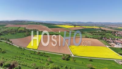 Alsatian Fields In Spring - Video Drone Footage