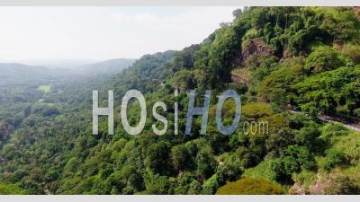 Rainforest In Sri Lanka, Filmed By Drone