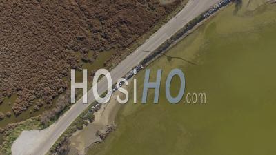 Road And Marshes In The Camargue - Video Drone Footage
