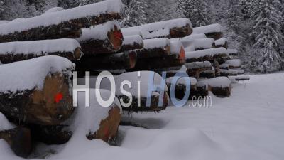 Fir Trees And Tree Trunks In The Snow In A Mountain Forest Near The Ski Resort Of Chamrousse, Isere, France - Video Drone Footage