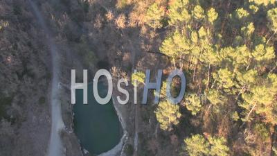 Forest Of Pine Trees And Sainte-Victoire Mountain, Greasque, Provence, France - Video Drone Footage